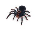The Source RC Spider - Τηλεκατευθυνόμενο R/C Ταραντούλα
