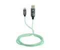 Lazerbuilt Harry Potter Light-Up USB-C Φωτιζόμενο καλώδιο φόρτισης μήκους 1,2 μέτρα (Patronus)