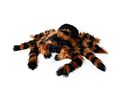 Giant Tarantula Plush XXL – Γιγαντιαία Λούτρινη Ταραντούλα 85 cm