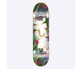 DGK Vacation Complete Skateboard - Multi Μέγεθος (8 ίντσες)