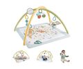 Fisher-Price® Simply Senses Newborn Gym (HRB15)