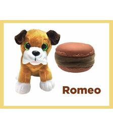 SWEET PUPS ΓΛΥΚΙΣΜΑΤΑ ΚΟΥΤΑΒΑΚΙΑ 1610032-5