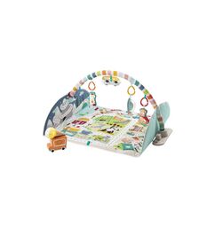 FISHER PRICE ΓΥΜΝΑΣΤΗΡΙΟ ΔΡΑΣΤΗΡΙΟΤΗΤΩΝ - GROW WITH ME GJD41