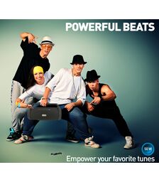 Tellur Obia Bluetooth Speaker 50W, Black