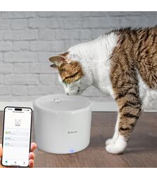 Tellur Smart WiFi Pet Water Dispenser 2L Έξυπνη τηλεχειριζόμενη WiFi Ποτίστρα/Συντριβάνι 2 λίτρων Γάτας/Σκύλου σε χρώμα λευκό