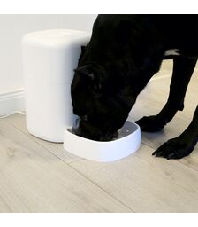 Tellur Smart WiFi Pet Feeder 4L & UltraHD Camera Έξυπνη τηλεχειριζόμενη WiFi Ποτίστρα/ταΐστρα 4 λίτρων Γάτας/Σκύλου με ενσωματωμένη κάμερα σε χρώμα λευκό