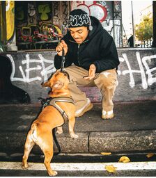 Defunc MONDO On-Ear Freestyle Headphones Ασύρματα Ακουστικά (transparent)