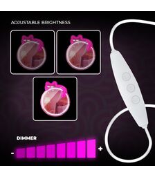 Forever Light Neon Mirror LED Sleeping Cat/White- Pink - Διακοσμητικός Καθρέπτης με LED NeonForever Light Neon Mirror LED Sleeping Cat/White- Pink - Διακοσμητικός Καθρέπτης με LED Neon