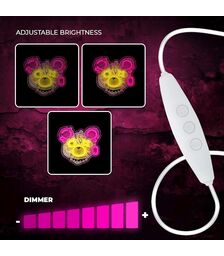 Forever Light Neon Punk Teddy Bear pink-yellow - Διακοσμητικό φωτιστικό τοίχου