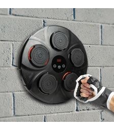 The Source - Light Up Musical Boxing Pad