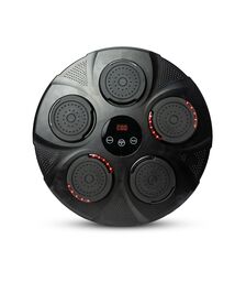 The Source - Light Up Musical Boxing Pad