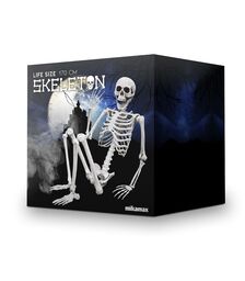 Σκελετός Ανθρώπινου Μεγέθους 170 cm – Ρεαλιστικό Διακοσμητικό για Halloween & Εκπαιδευτική Χρήση