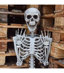 Σκελετός Ανθρώπινου Μεγέθους 170 cm – Ρεαλιστικό Διακοσμητικό για Halloween & Εκπαιδευτική Χρήση
