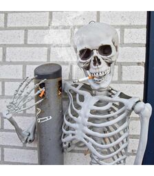 Σκελετός Ανθρώπινου Μεγέθους 170 cm – Ρεαλιστικό Διακοσμητικό για Halloween & Εκπαιδευτική Χρήση