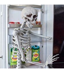 Σκελετός Ανθρώπινου Μεγέθους 170 cm – Ρεαλιστικό Διακοσμητικό για Halloween & Εκπαιδευτική Χρήση