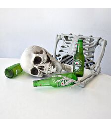 Σκελετός Ανθρώπινου Μεγέθους 170 cm – Ρεαλιστικό Διακοσμητικό για Halloween & Εκπαιδευτική Χρήση