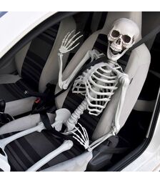 Σκελετός Ανθρώπινου Μεγέθους 170 cm – Ρεαλιστικό Διακοσμητικό για Halloween & Εκπαιδευτική Χρήση