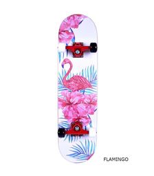 ΑΘΛΟΠΑΙΔΙΑ πλήρης τροχοσανίδα στενή No3