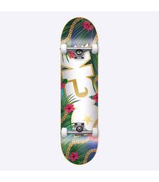 DGK Vacation Complete Skateboard - Multi Μέγεθος (8 ίντσες)