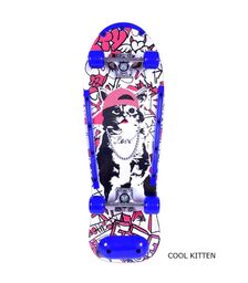 ΑΘΛΟΠΑΙΔΙΑ πλήρης τροχοσανίδα φαρδιά