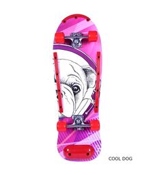 ΑΘΛΟΠΑΙΔΙΑ πλήρης τροχοσανίδα φαρδιά