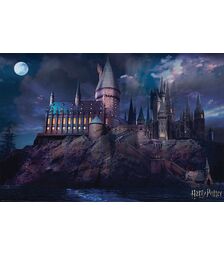 eKids Harry Potter Ενσύρματα Ακουστικά με ασφαλή μέγιστη ένταση ήχου για παιδιά και εφήβους (RI-M40HP) (Μαύρο)