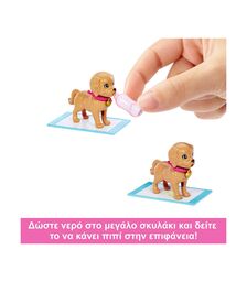 Mattel Barbie: Pup Adoption Playset (HKD86)