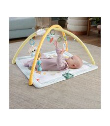Fisher-Price® Simply Senses Newborn Gym (HRB15)