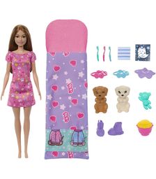 Mattel Barbie: Puppy Slumber Party Doll (HXN01)