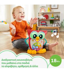 Fisher-Price Linkimals: Κουκουβάγια η Σοφή (HJN63)