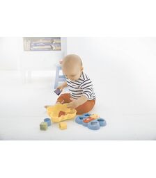FISHER PRICE - BUTTERFLY SHAPE SORTER (CDC22)