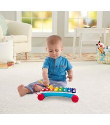 Fisher-Price - Classic Xylophone (CMY09)