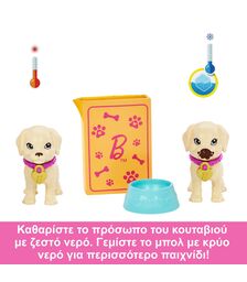 Mattel Barbie: Pup Adoption Playset (HKD86)
