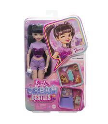 Mattel Barbie: Dream Besties - Renee (HYC24)