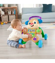 Fisher Price Παίζω και Μαθαίνω - Εκπαιδευτική Στράτα Σκυλάκι (FTC66)