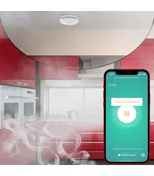 Tellur WiFi Smoke and CO Sensor Έξυπνος αισθητήρας καπνού και CO WiFi (TLL-331561)