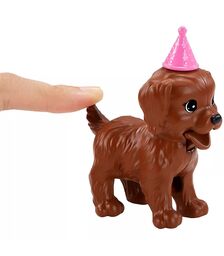 BARBIE ΚΑΙ ΣΚΥΛΑΚΙΑ ΠΑΡΤΙ ΓΕΝΕΘΛΙΩΝ GXV75