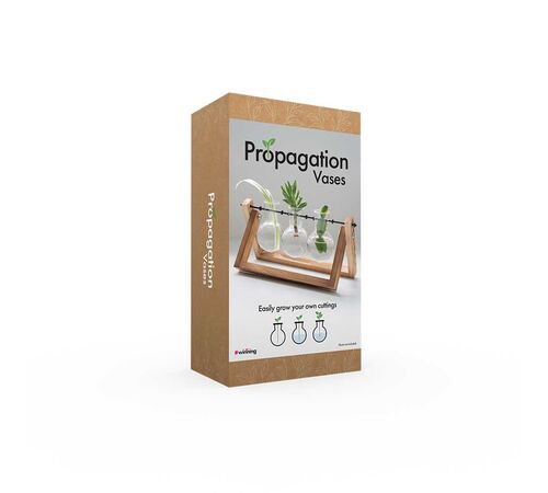 The Source - Home & Lifestyle - Propergator Vases - Ξυλινη βάση με βάζα για υδροπονική καλλιέργεια