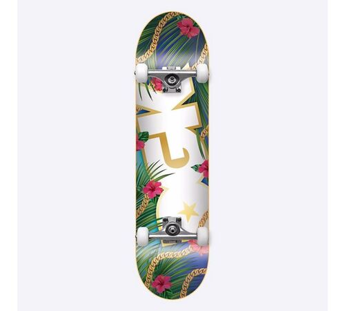 DGK Vacation Complete Skateboard - Multi Μέγεθος (8 ίντσες)