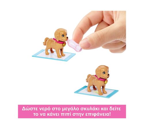 Mattel Barbie: Pup Adoption Playset (HKD86)