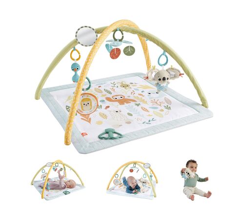 Fisher-Price® Simply Senses Newborn Gym (HRB15)