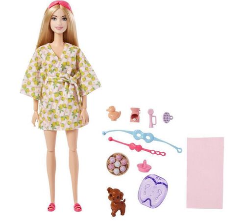 Mattel Barbie: You Can Be Anything - Self-Care Spa Day with Puppy Doll (HKT90)