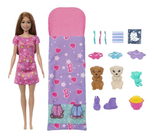 Mattel Barbie: Puppy Slumber Party Doll (HXN01)