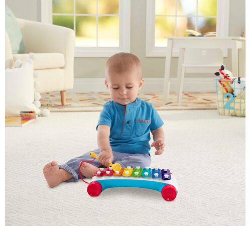 Fisher-Price - Classic Xylophone (CMY09)