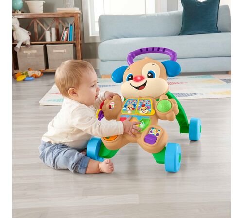 Fisher Price Παίζω και Μαθαίνω - Εκπαιδευτική Στράτα Σκυλάκι (FTC66) Fisher Price Παίζω και Μαθαίνω - Εκπαιδευτική Στράτα Σκυλάκι (FTC66)
