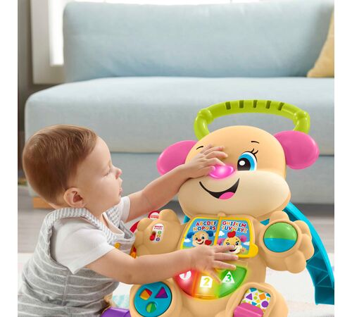 Fisher Price Παίζω και Μαθαίνω - Εκπαιδευτική Στράτα - Ροζ Σκυλάκι (FTC68) Fisher Price Παίζω και Μαθαίνω - Εκπαιδευτική Στράτα - Ροζ Σκυλάκι (FTC68)