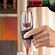 Συσκευή Αερισμού Κρασιού "Wine Decanter Original"
