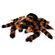 Giant Tarantula Plush XXL – Γιγαντιαία Λούτρινη Ταραντούλα 85 cm