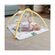 Fisher-Price® Simply Senses Newborn Gym (HRB15)