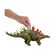 Mattel Jurassic World: Epic Evolution Chaos Theory - Wild Roar Kentrosaurus (JCL65) Mattel Jurassic World: Epic Evolution Chaos Theory - Wild Roar Kentrosaurus (JCL65)